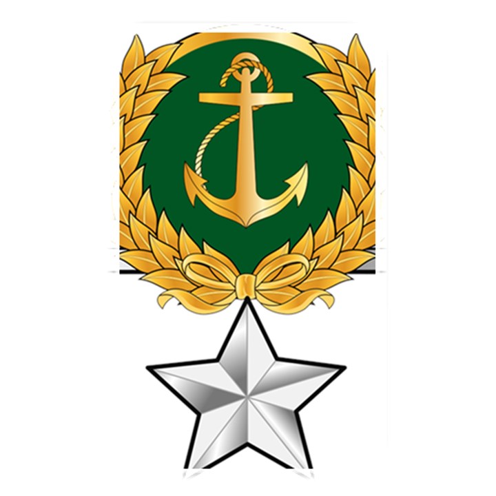 Iranian Navy Amphibious Warfare Badge Memory Card Reader (Rectangular)