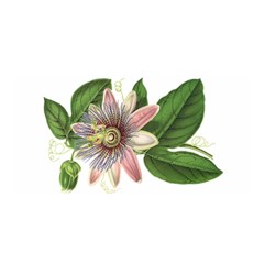 Passion Flower - Vintage Satin Wrap by WensdaiAmbrose