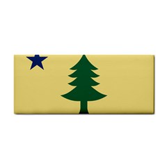 Flag Of Maine, 1901-1909 Hand Towel by abbeyz71