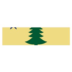 Flag Of Maine, 1901-1909 Satin Scarf (oblong) by abbeyz71