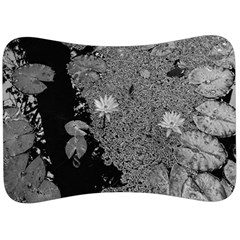 Black And White Lily Pond Velour Seat Head Rest Cushion by okhismakingart