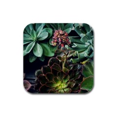 Succulents Rubber Square Coaster (4 Pack)  by okhismakingart