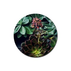 Succulents Rubber Round Coaster (4 Pack)  by okhismakingart