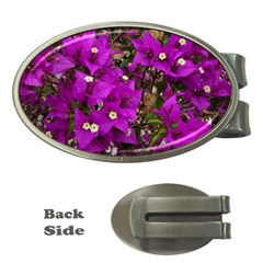 Bougainvillea  Money Clips (oval) 