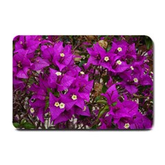 Bougainvillea  Small Doormat  by okhismakingart