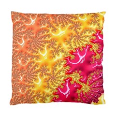 Fractal Math Mathematics Science Standard Cushion Case (One Side)