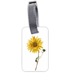 Sunflower - Vintage Luggage Tags (one Side)  by WensdaiAmbrose