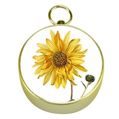 Sunflower - Vintage Gold Compasses by WensdaiAmbrose