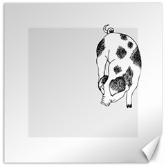 Pig Sniffing Hand Drawn With Funny Cow Spots Black And White Canvas 12  X 12  by genx