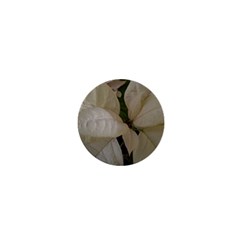 White Pointsettia 1  Mini Buttons by Riverwoman