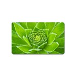 Wurz Houseleek Turmeric Plant Magnet (Name Card) Front