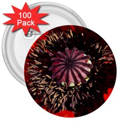 Ornamental Poppies Half Rosette Plant 3  Buttons (100 Pack)  by Pakrebo