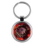 Ornamental Poppies Half Rosette Plant Key Chains (Round)  Front