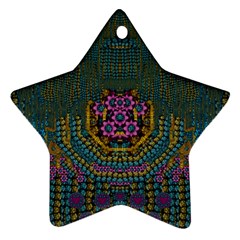 The  Only Way To Freedom And Dignity Ornate Ornament (star) by pepitasart