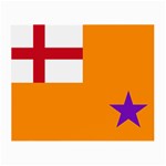 Flag of the Orange Order Small Glasses Cloth Front