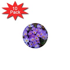 Signs Of Spring Purple Crocua 1  Mini Buttons (10 Pack)  by Riverwoman