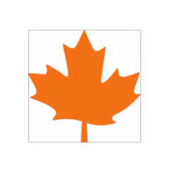 Logo Of New Democratic Party Of Canada Satin Bandana Scarf by abbeyz71