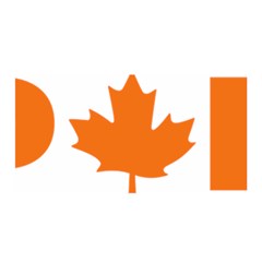 Logo Of New Democratic Party Of Canada Satin Wrap by abbeyz71