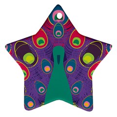 Peacock Bird Animal Feathers Ornament (star)