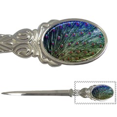 Peacock Feathers Colorful Feather Letter Opener