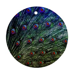 Peacock Feathers Colorful Feather Round Ornament (two Sides) by Pakrebo