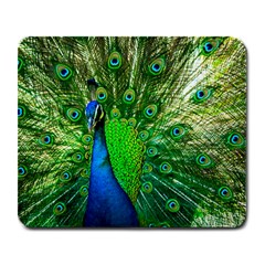 Peacock Peafowl Pattern Plumage Large Mousepads by Pakrebo