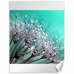 Dandelion Seeds Flower Nature Canvas 18  X 24  by Pakrebo