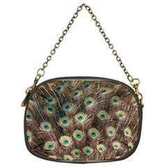 Bird Peacock Tail Feathers Chain Purse (one Side) by Pakrebo
