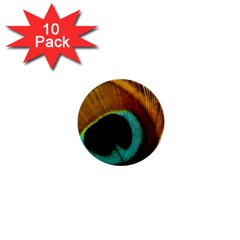 Feather Peacock Feather Peacock 1  Mini Buttons (10 Pack) 