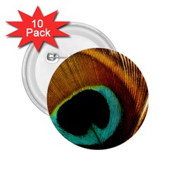 Feather Peacock Feather Peacock 2 25  Buttons (10 Pack)  by Nexatart