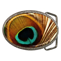 Feather Peacock Feather Peacock Belt Buckles