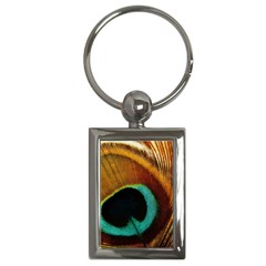 Feather Peacock Feather Peacock Key Chain (rectangle) by Nexatart