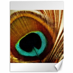 Feather Peacock Feather Peacock Canvas 36  X 48  by Nexatart