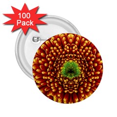 Flower Dahlia Red Petals Color 2 25  Buttons (100 Pack) 