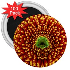 Flower Dahlia Red Petals Color 3  Magnets (100 Pack) by Nexatart