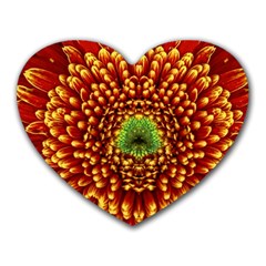 Flower Dahlia Red Petals Color Heart Mousepads by Nexatart