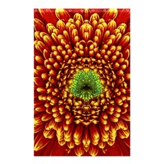 Flower Dahlia Red Petals Color Shower Curtain 48  X 72  (small) 