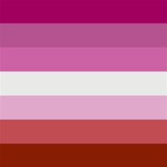 Lesbian Pride Flag Canvas 12  X 12  by lgbtnation