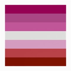 Lesbian Pride Flag Medium Glasses Cloth (2 Sides) by lgbtnation