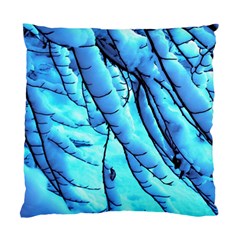 Winter Branch Tree Beech Snow Standard Cushion Case (two Sides) by Pakrebo