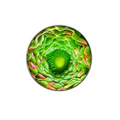 Ranunculus Blossom Bloom Nature Hat Clip Ball Marker (4 Pack)