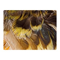 Wing Feather Bird Animal World Double Sided Flano Blanket (mini)  by Pakrebo