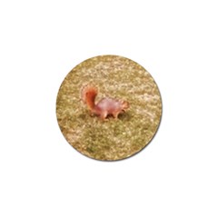 Squirrel Golf Ball Marker by Riverwoman