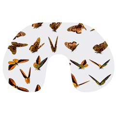 Butterflies Insect Swarm Travel Neck Pillow