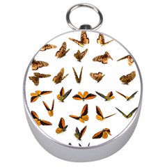 Butterflies Insect Swarm Silver Compasses