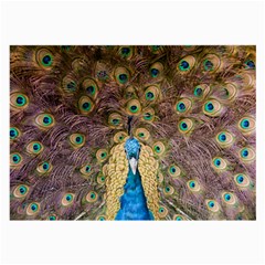 Bird Peacock Feather Large Glasses Cloth by HermanTelo