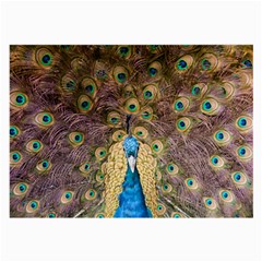 Bird Peacock Feather Large Glasses Cloth (2 Sides) by HermanTelo