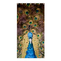 Bird Peacock Feather Shower Curtain 36  X 72  (stall)  by HermanTelo