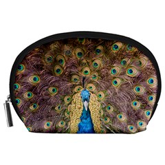 Bird Peacock Feather Accessory Pouch (large) by HermanTelo