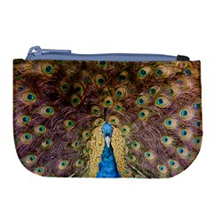 Bird Peacock Feather Large Coin Purse by HermanTelo